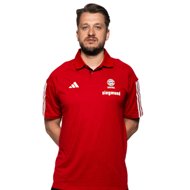 Mihajlo Mitic