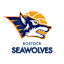 Rostock Seawolves