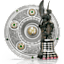 Meisterschale und Victoria Pokal