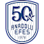 Anadolu Efes Istanbul