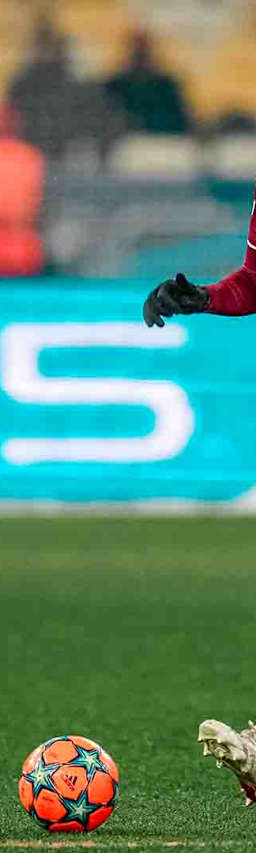 22_DYNFCB_231121_DON
