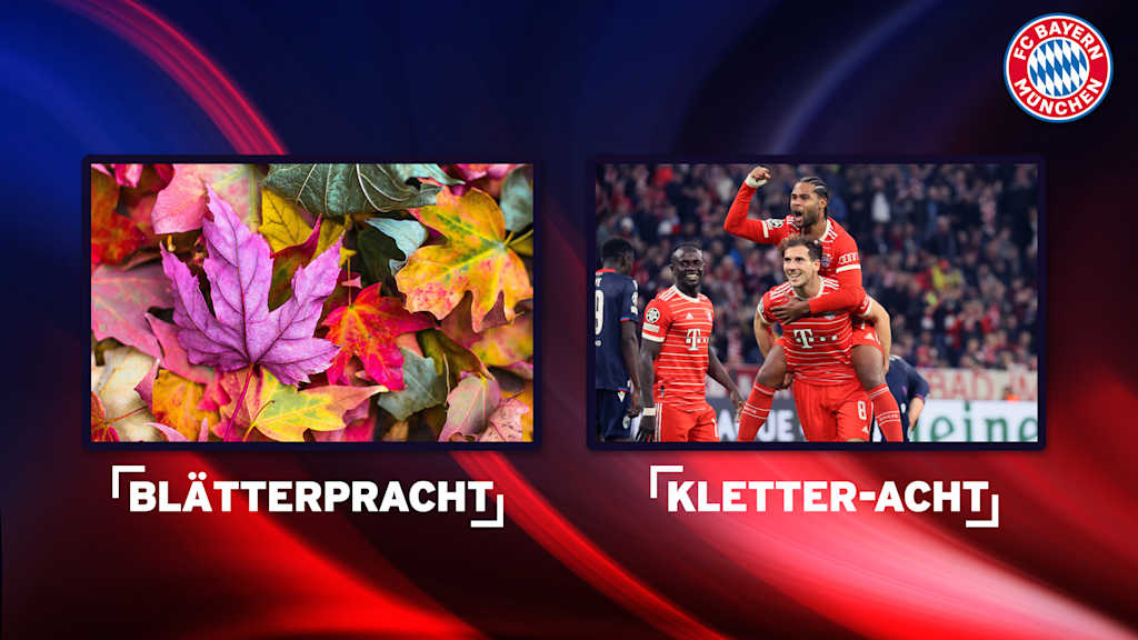 1-Blaetterpracht
