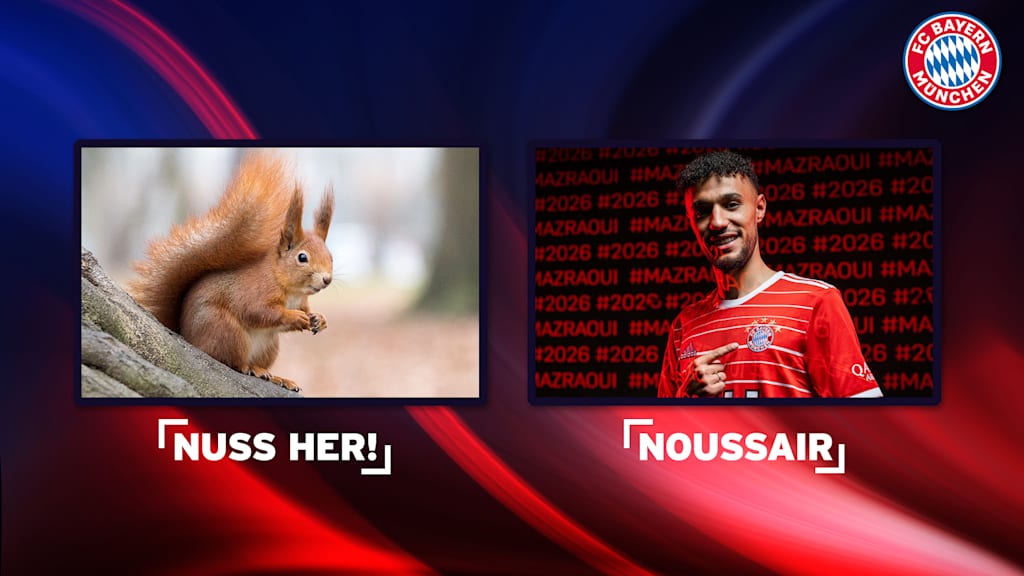 3-Noussair