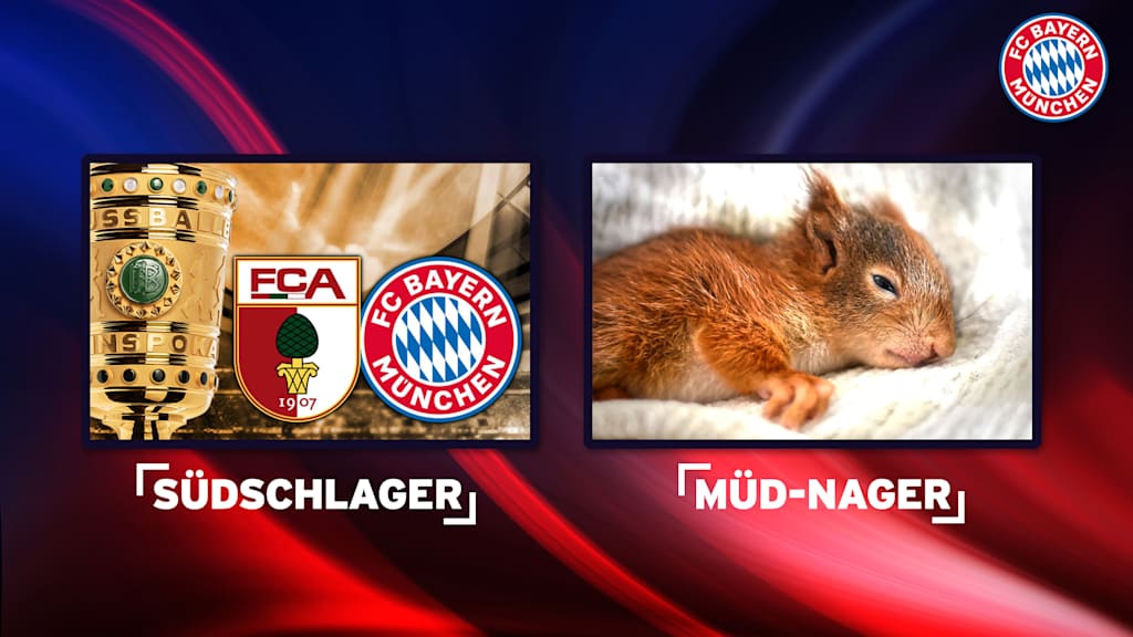 4-Suedschlager