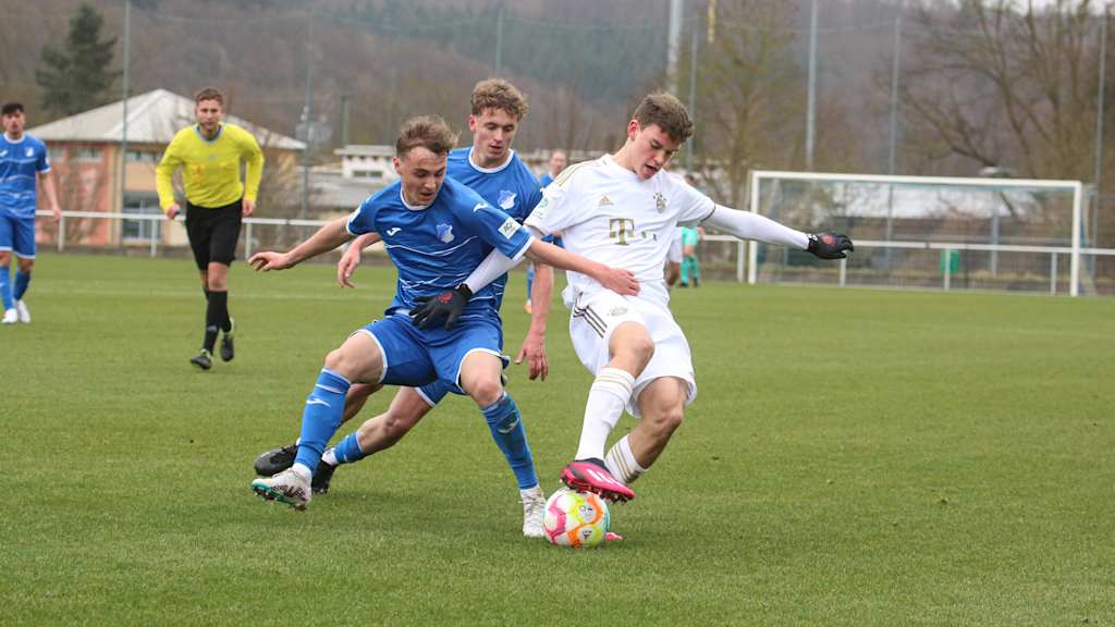 FC Bayern, U17, TSG Hoffenheim