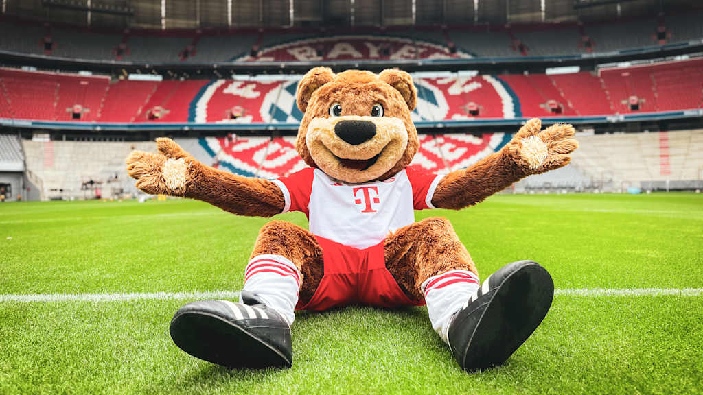 IMG_1885_Berni_Allianz_Arena