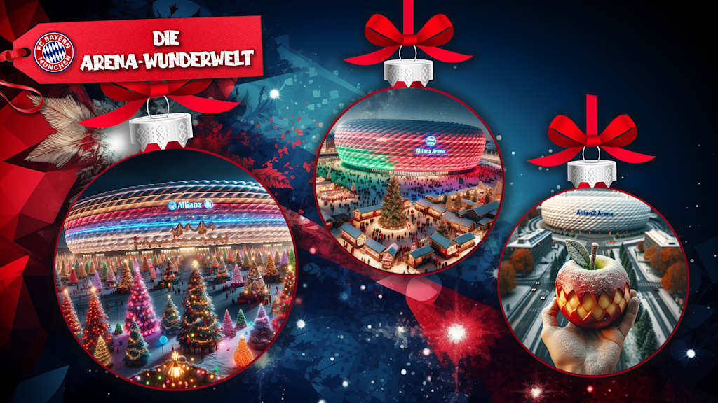 1-4-Arena-Wunderwelt