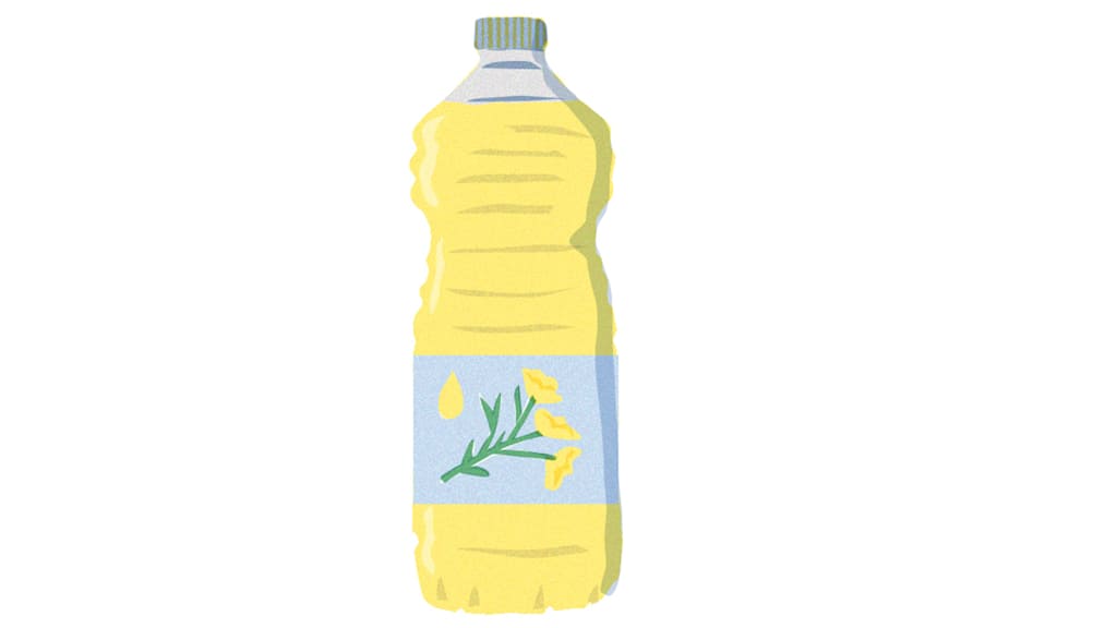 Illustration Rapeseed Oil