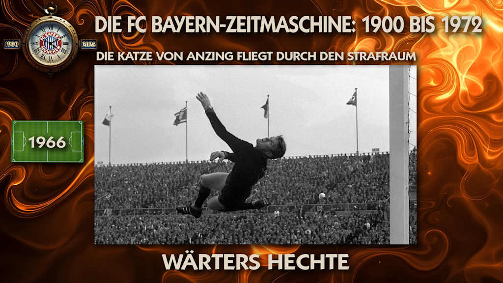 Sepp Maier ist die Katze von Anzing