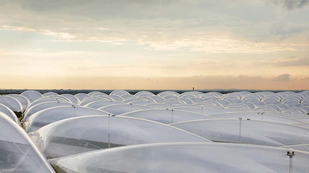 Blick auf das Dach der Allianz Arena in München-Fröttmaning