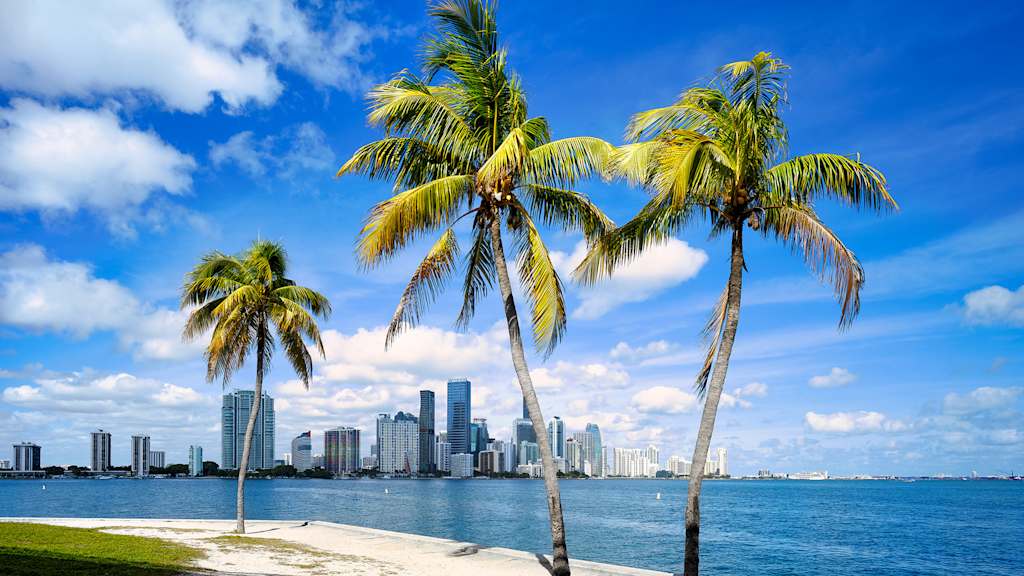 Skyline von Miami mit Palmen im Vordergrund