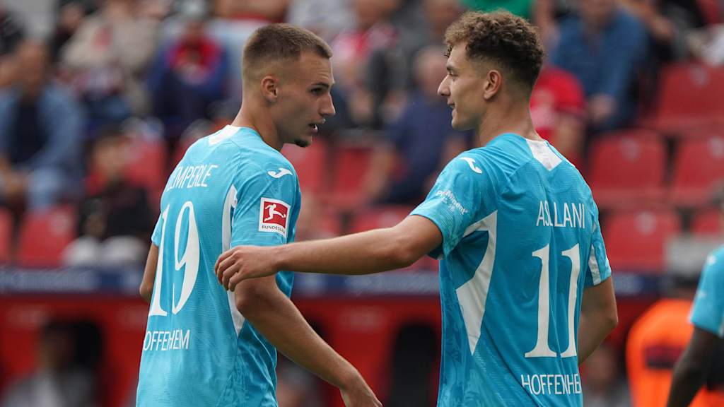 TSG Hoffenheim-Spieler Tim Lemperle und Fisnik Asllani bejubeln ein Tor im Bundesliga-Spiel gegen Bayer 04 Leverkusen.