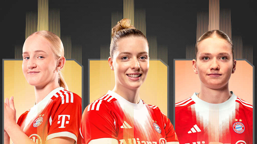 Grafik: Alara Şehitler, Luzie Zähringer, Marie Gmeineder