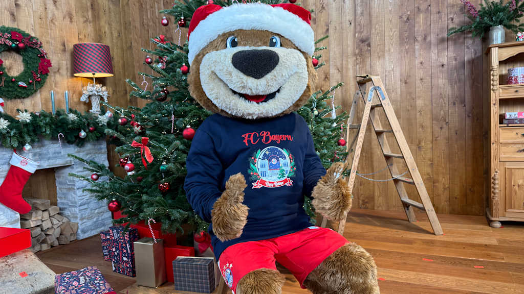 Berni sitzt auf einem Stuhl vor einem geschmückten Weihnachtsbaum.