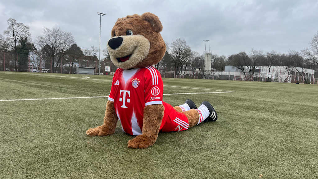 Berni liegt mit seinem Unterkörper auf dem Boden und seinen Oberkörper dehnt er mit seinen Armen nach oben.