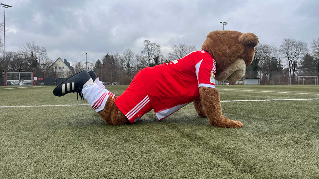Berni macht eine Liegestütze mit den Knien auf dem Boden abgelegt.