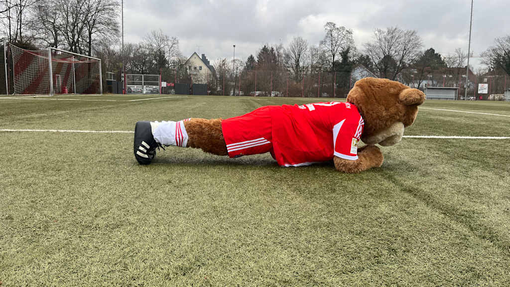 Berni ist mit seinen Unterarmen auf den Rasen gestützt.