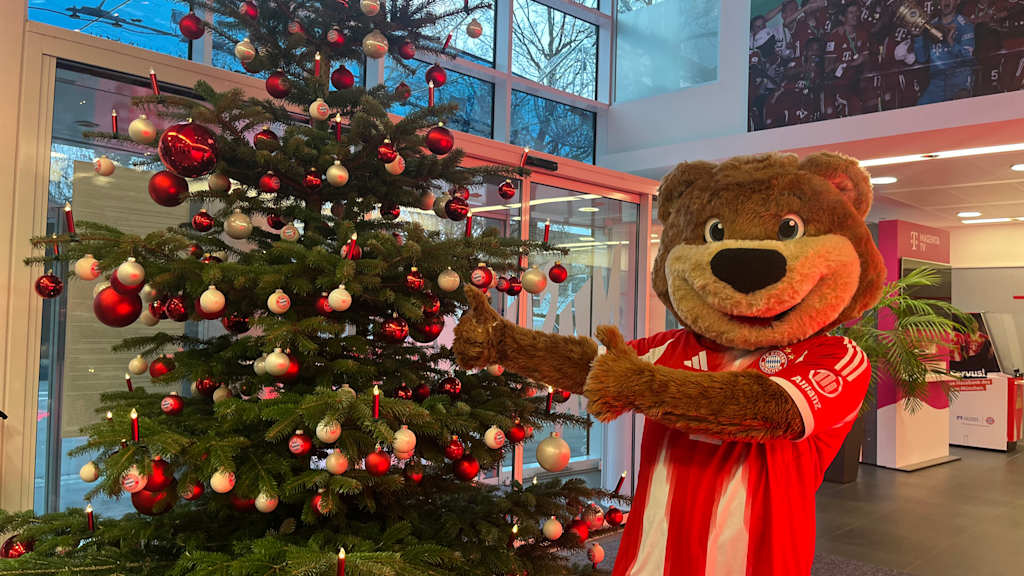 Berni zeigt auf einen festlich dekorierten Weihnachtsbaum.