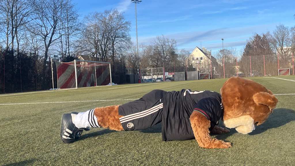 Berni auf dem Kunstrasenplatz und macht Liegestützen.