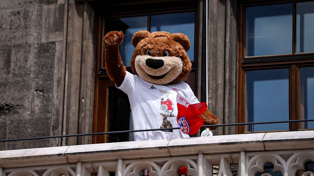 Unser Maskottchen Berni auf dem Balkon während der Meisterfeier der Herren des FC Bayern am Münchner Marienplatz