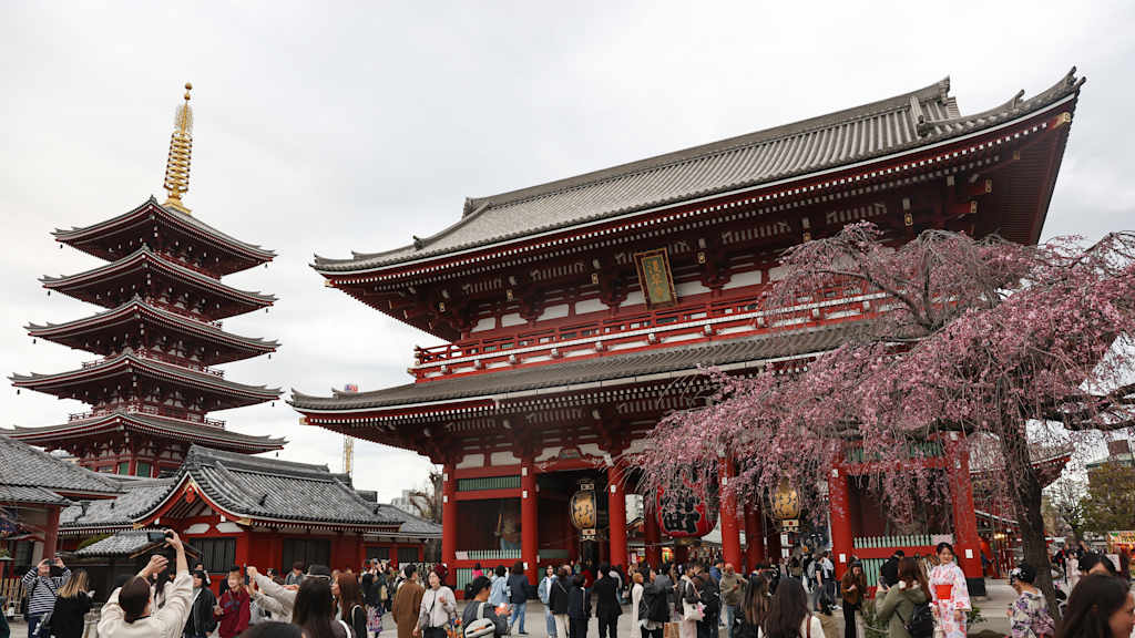 Der Asakusa Tempel in Tokio während der Kirschblüte