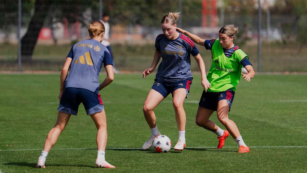 Sophie Proost, Alara und Barbara Dunst im Zweikampf beim Training.