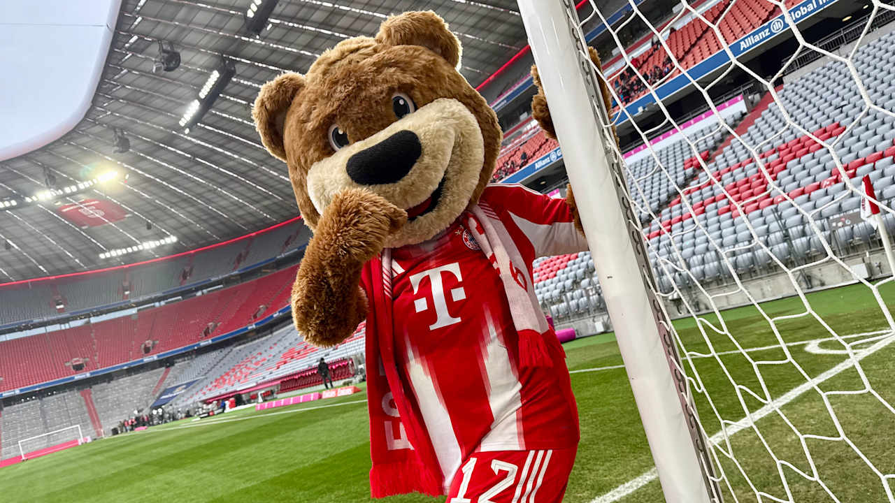 Berni in der Allianz Arena