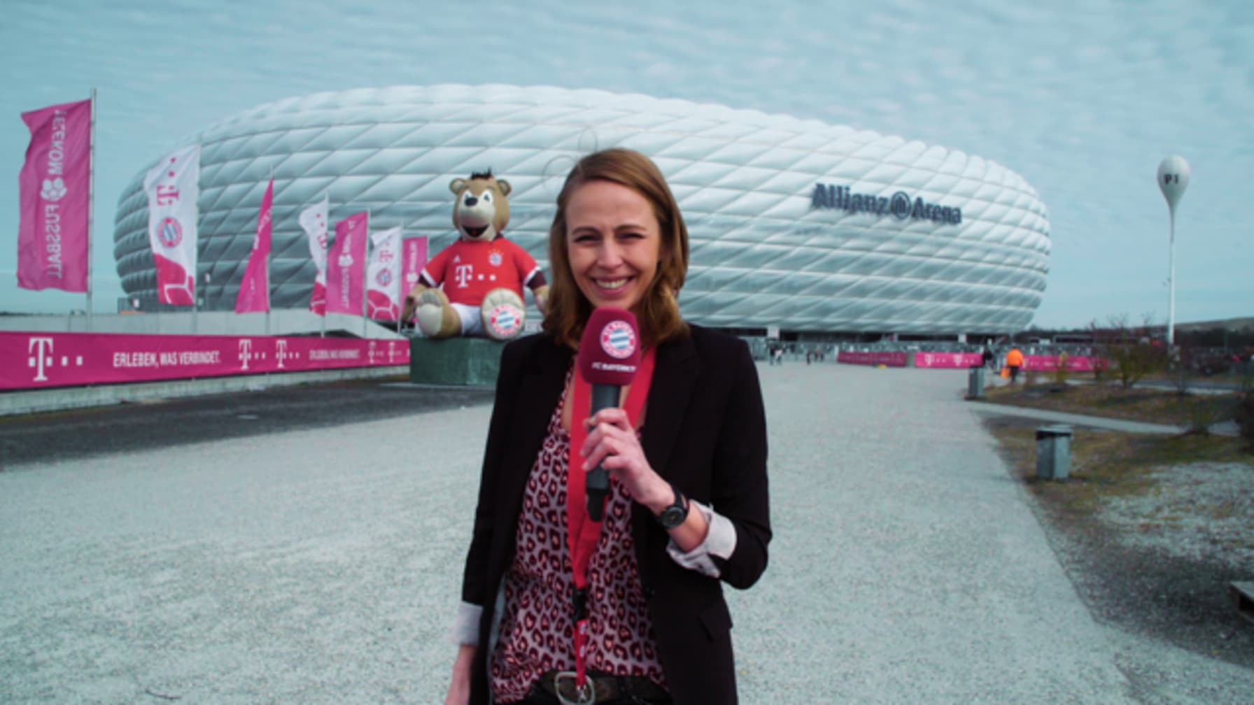inside-allianz-arena