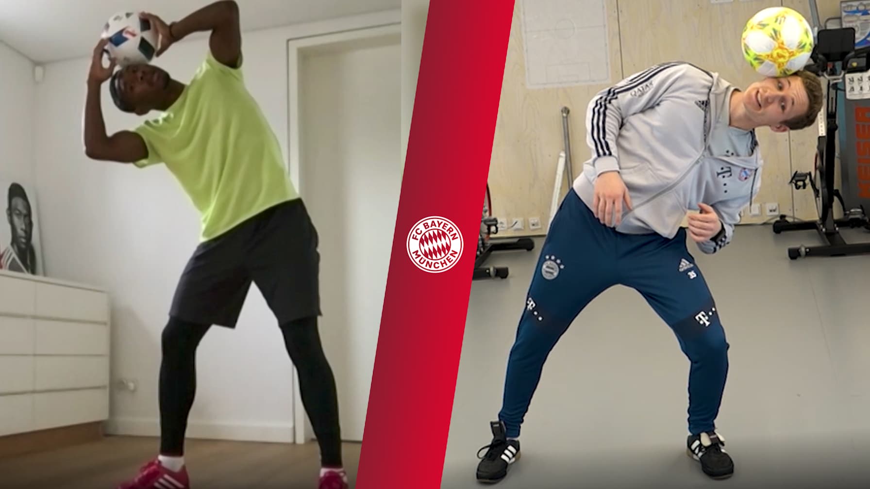 fresstyler