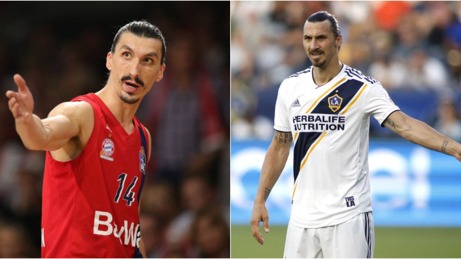 nohad-zlatan