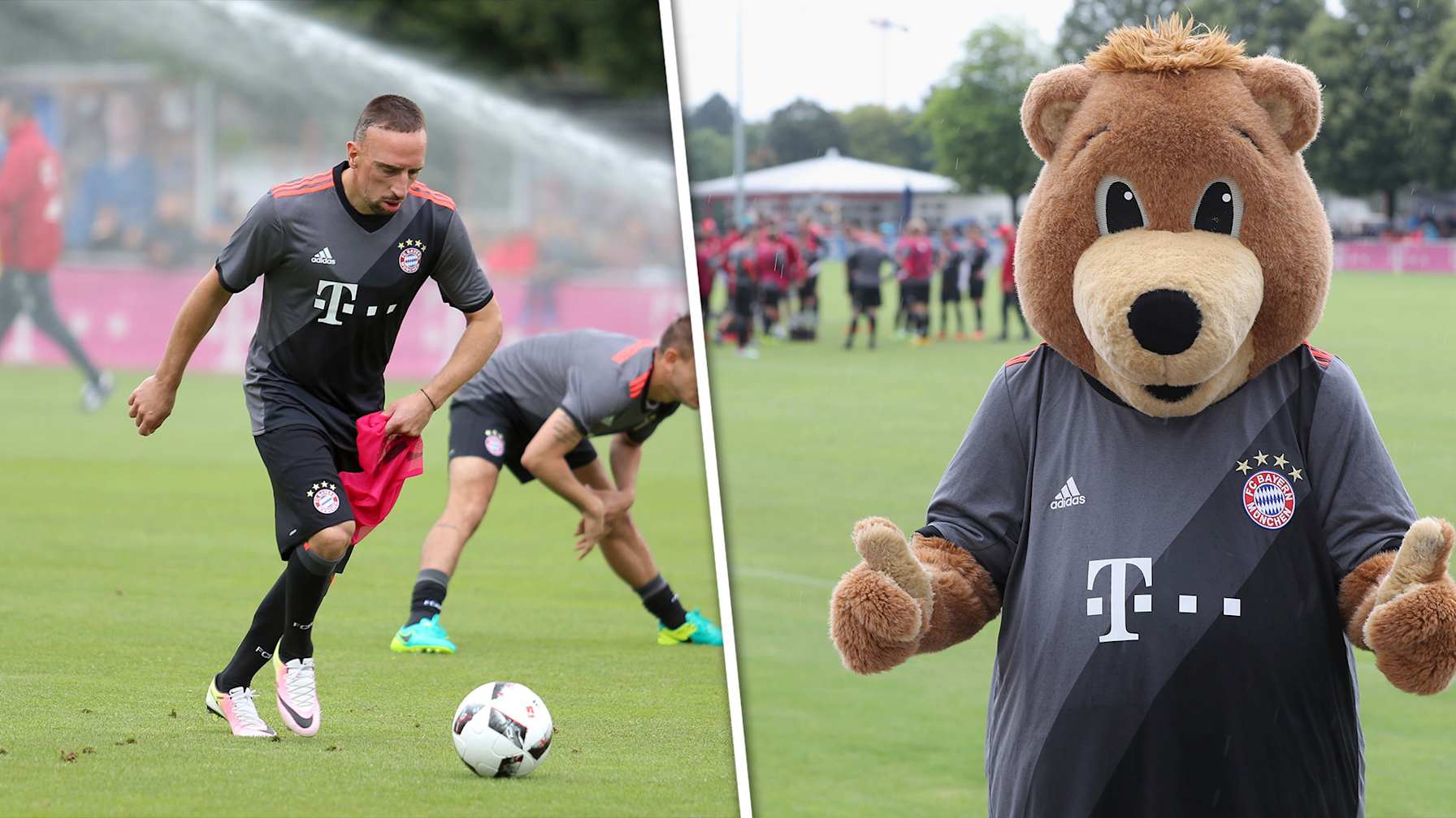 fcbtvnews_140616