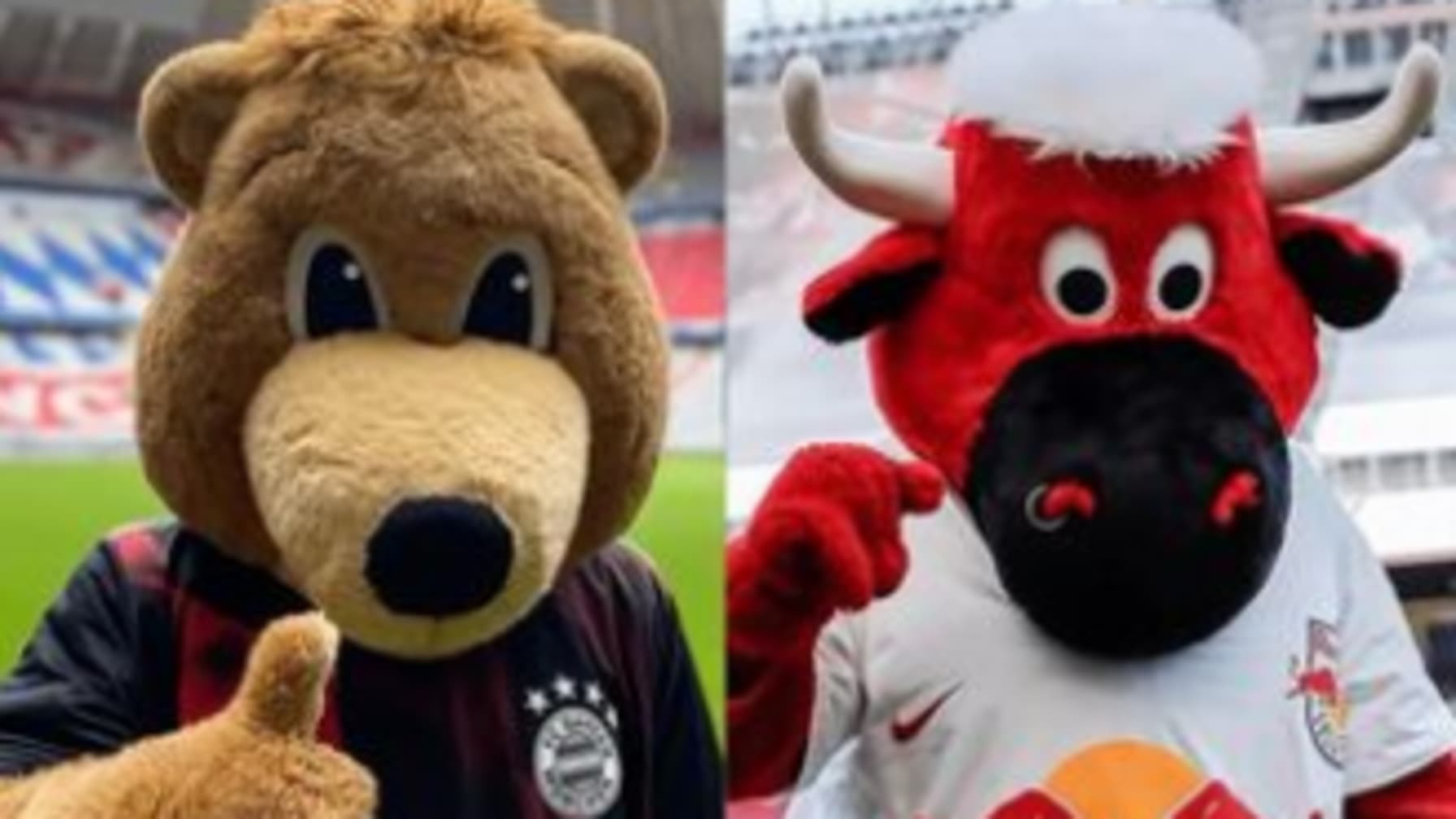 Bulli_und_Berni