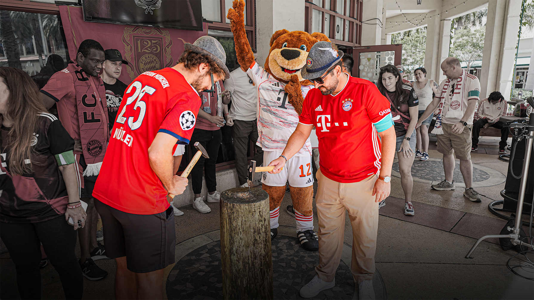 FC Bayern fans in the USA playing tree trunk nailing.