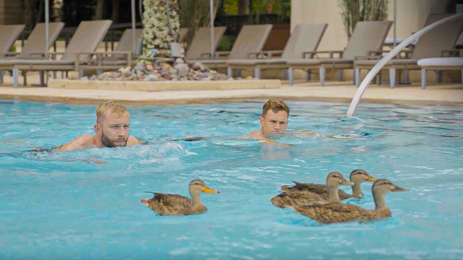 Konrad Laimer und Joshua Kimmich schwimmen in Orlando mit Enten im Pool.