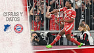 Cifras y datos del partido de Bundesliga: TSG 1899 Hoffenheim - FC Bayern
