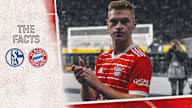 Facts and stats on the Bundesliga game FC Schalke 04 - FC Bayern