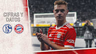 Cifras y datos partido Bundesliga FC Schalke 04 - FC Bayern