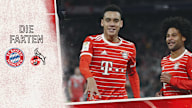 Zahlen und Fakten zum Bundesliga-Spiel FC Bayern - 1.FC Köln