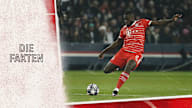 Zahlen und Fakten zum Champions League-Spiel FC Bayern - Paris Saint-Germain