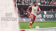 Zahlen und Fakten zum Bundesliga-Spiel 1. FC Köln - FC Bayern