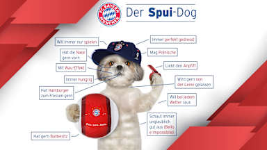 spui-dog