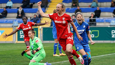 201011_tsgfcb_ima