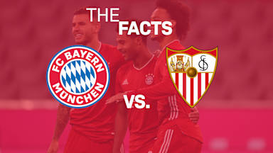 faktenfcbsev_en