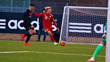 hollersbach_fci