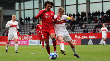 vfbu19_fcb_090319