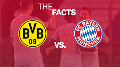201106_BVB_Facts_16x9
