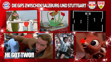 vfb-gifs