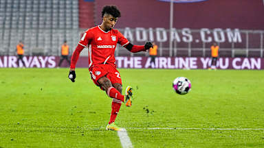 201205_Coman_RBL_DON