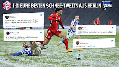 Hertha-Twittern