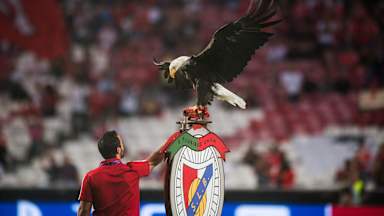 190917_Benfica_Adler_IMA
